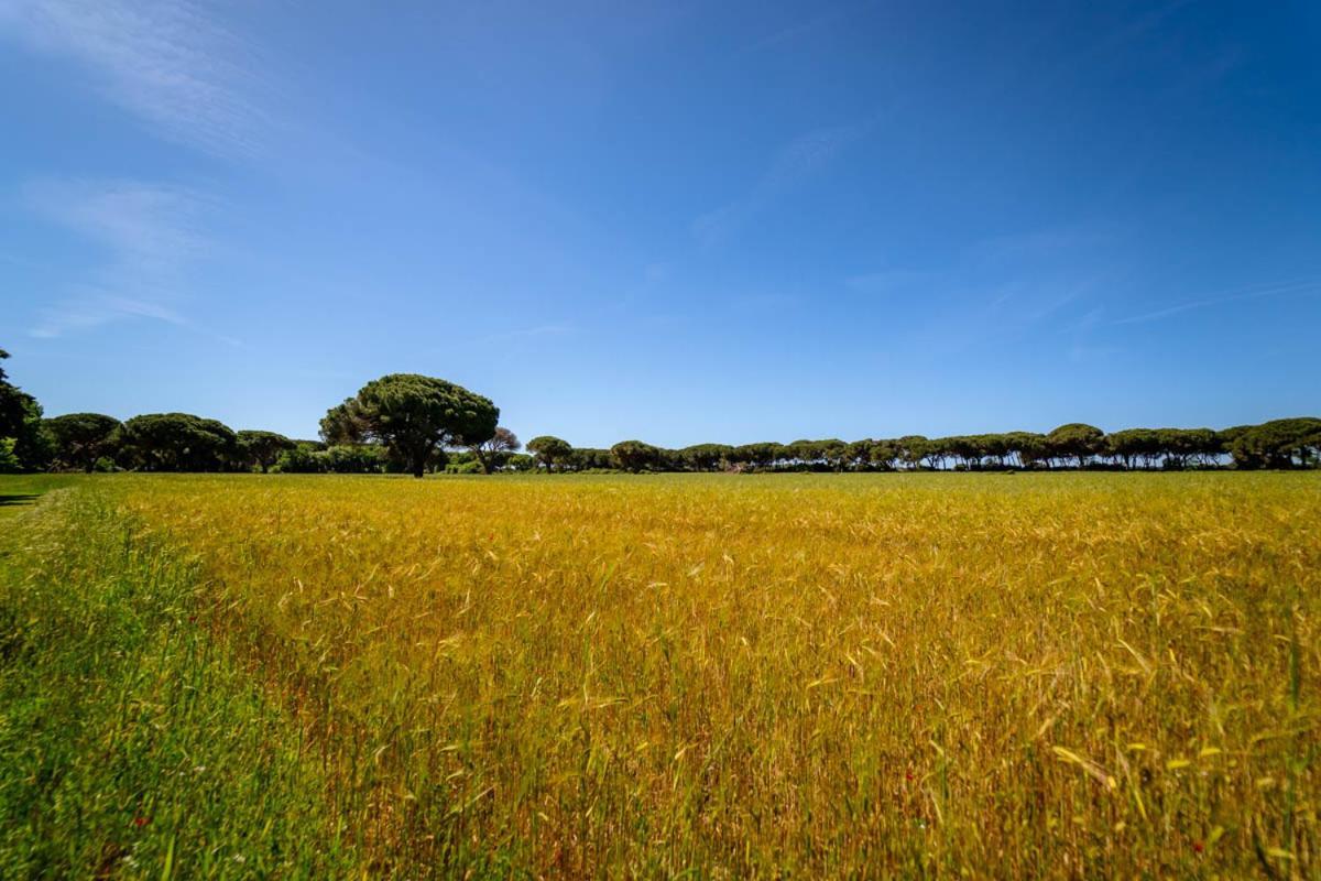 Agriturismo Bio Femminella Principina a Mare Eksteriør bilde